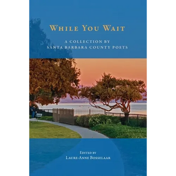 While You Wait - Paperback