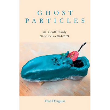 Ghost Particles - Paperback