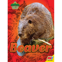 Beaver - Library Binding