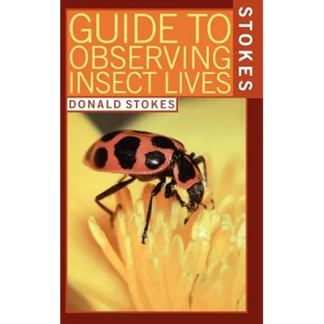 Stokes Guide to Observing Insect Lives - Paperback