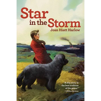 Star in the Storm - Paperback