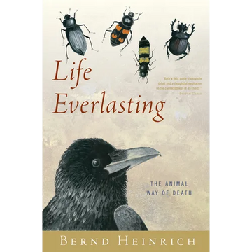 Life Everlasting: The Animal Way of Death - Paperback