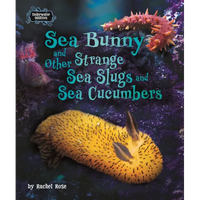 Sea Bunny and Other Strange Sea Slugs and Sea Cucumbers - Hardcover