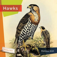Hawks - Hardcover