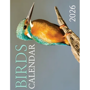 Birds Calendar 2026 - Paperback