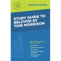 Study Guide to Beloved by Toni Morrison - Paperback