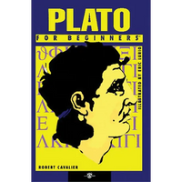 Plato for Beginners - Paperback