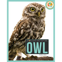 Owl - Paperback