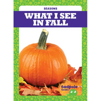 What I See in Fall - Library Binding