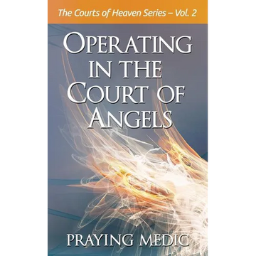 Operating in the Court of Angels - Paperback