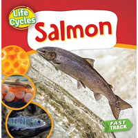 Salmon - Paperback