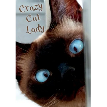 Crazy Cat Lady Notebook - Paperback