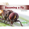 Becoming a Fly