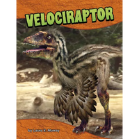 Velociraptor - Paperback