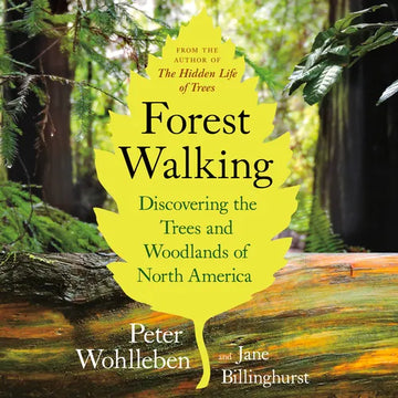 Forest Walking: Discovering the Trees and Woodlands of North America - Paperback