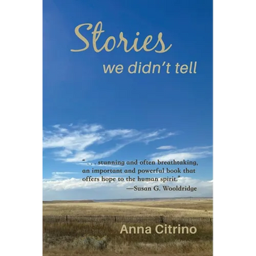 Stories We Didn't Tell - Paperback