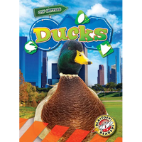 Ducks - Library Binding