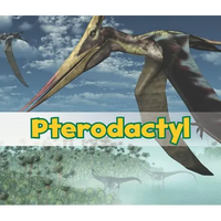 Pterodactyl - Paperback