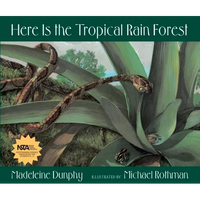 Here Is the Tropical Rain Forest - Paperback