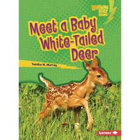 Meet a Baby White-Tailed Deer - Paperback