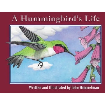 A Hummingbird's Life - Paperback