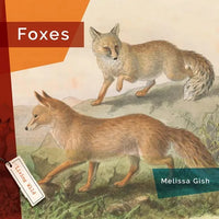 Foxes - Hardcover