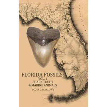 Florida Fossils: Shark Teeth & Marine Animals - Paperback