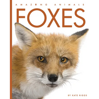 Foxes - Library Binding