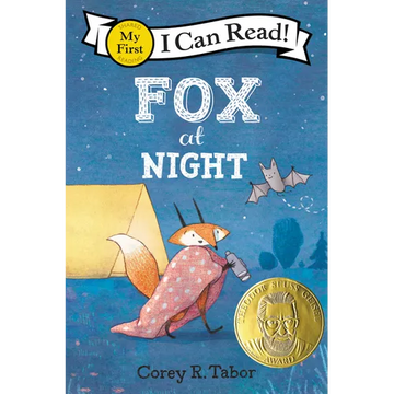 Fox at Night - Paperback