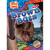 Brown Bats - Library Binding