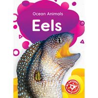 Eels - Library Binding