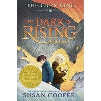 The Grey King - Paperback