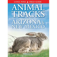 Animal Tracks of Arizona & New Mexico - Paperback