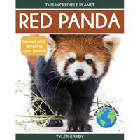 Red Panda - Paperback