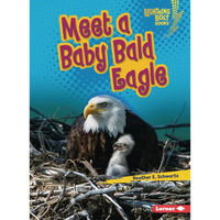 Meet a Baby Bald Eagle - Paperback