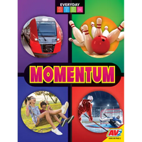 Momentum - Library Binding
