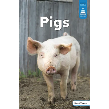 Pigs - Paperback