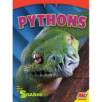 Pythons - Paperback