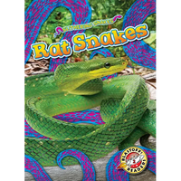 Rat Snakes - Library Binding