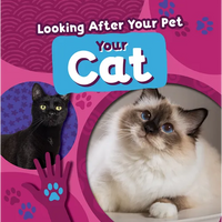 Your Cat - Paperback