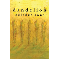 dandelion - Paperback