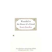 Wounded in the House of a Friend - Paperback
