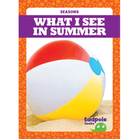 What I See in Summer - Library Binding