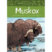 Animals Illustrated: Muskox - Hardcover