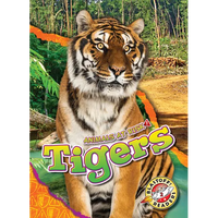 Tigers - Library Binding