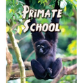 Primate School