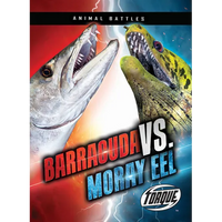 Barracuda vs. Moray Eel - Paperback
