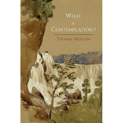 What Is Contemplation?