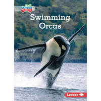 Swimming Orcas - Paperback
