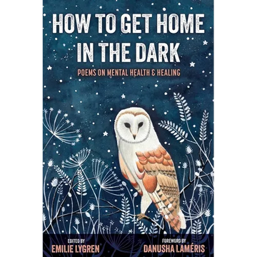 How to Get Home in the Dark - Paperback